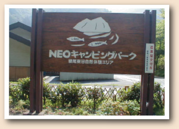 ̑